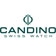Наручные швейцарские часы Candino Часы наручные Candino